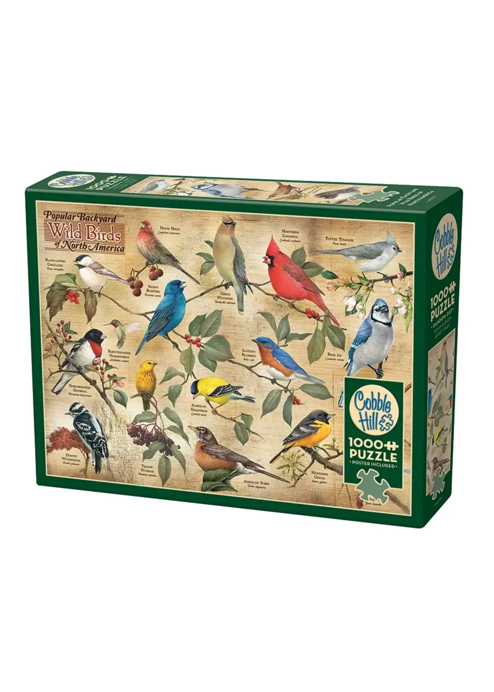 CBL 1000 POPULAR BACKYARD BIRDS OF NA