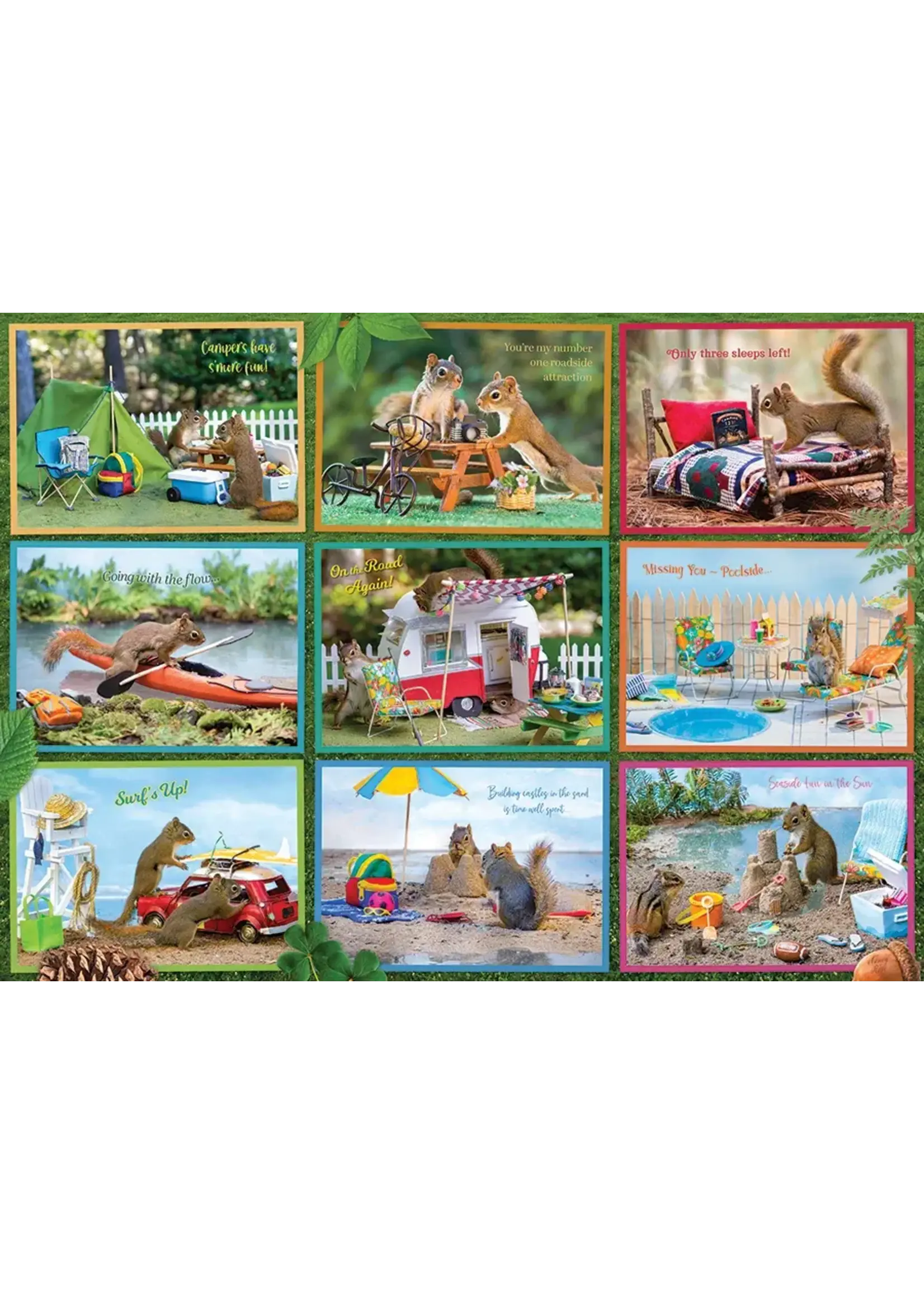 CBL 1000 SQUIRRELS ON VACATION