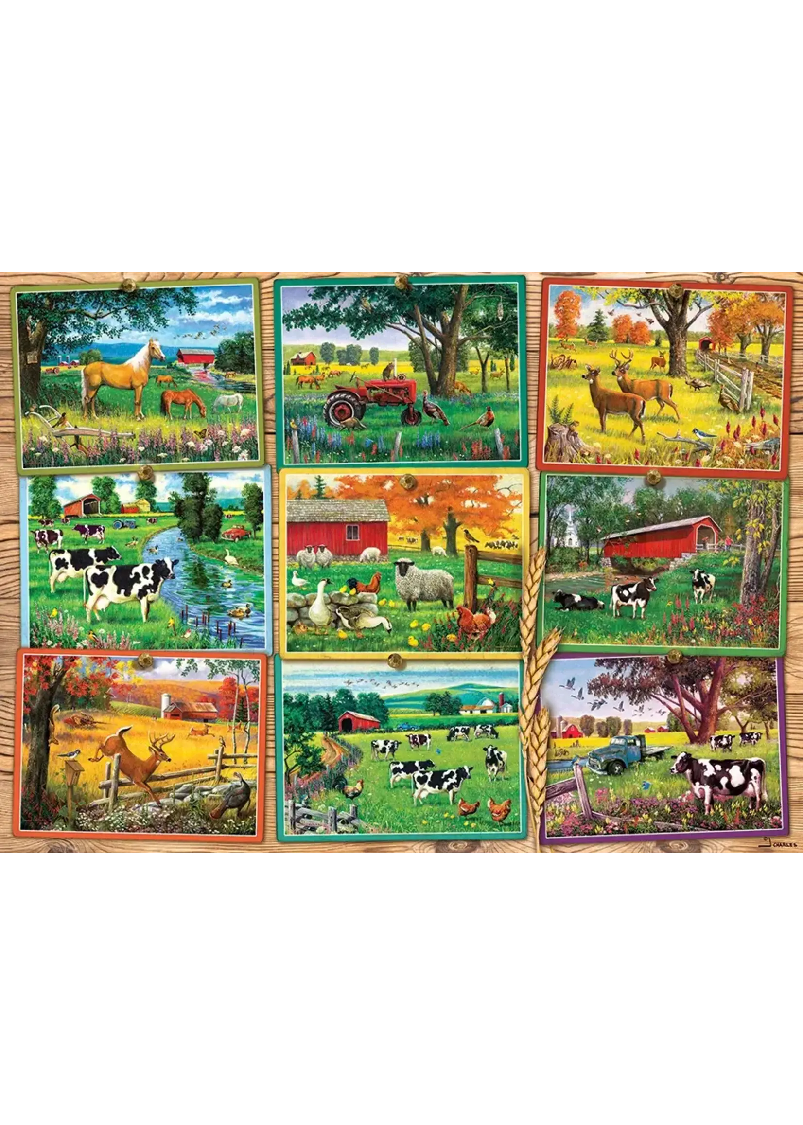 CBL 1000 POSTCARDS FROM THE FARM