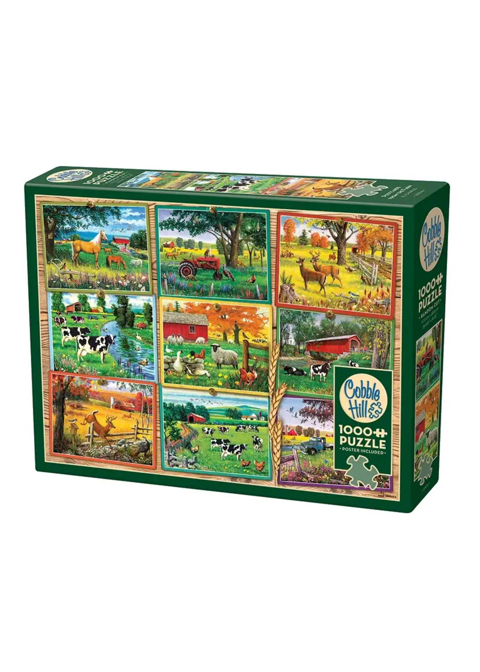 CBL 1000 POSTCARDS FROM THE FARM