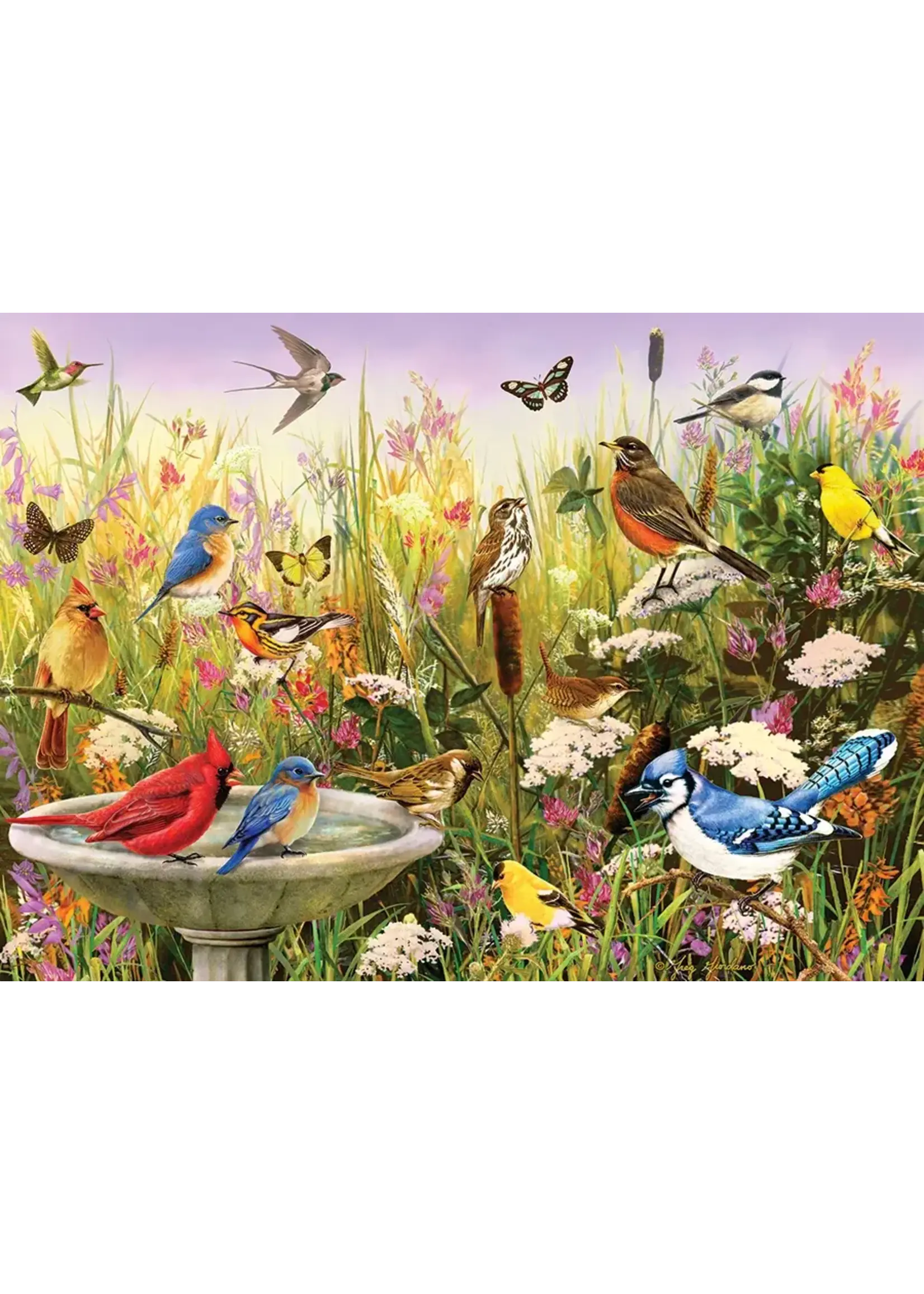 CBL 1000 FEATHERED FRIENDS