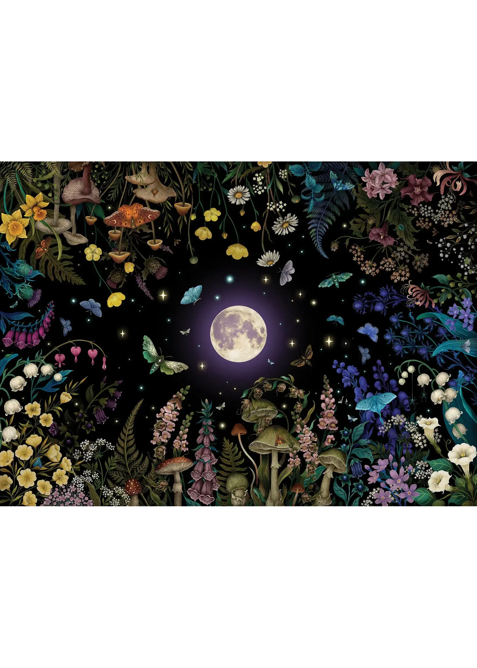 CBL 1000 NIGHT GARDEN