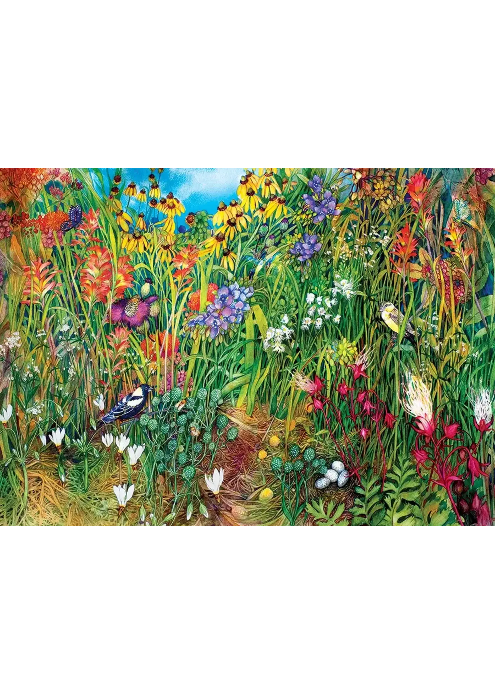CBL 1000  PRAIRIE GRASS