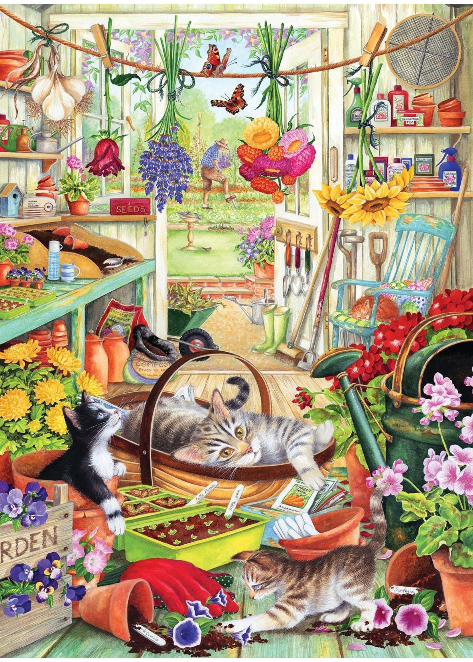 CBL 500 POTTING SHED CATS