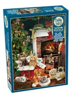 OUT 500 CHRISTMAS KITTENS