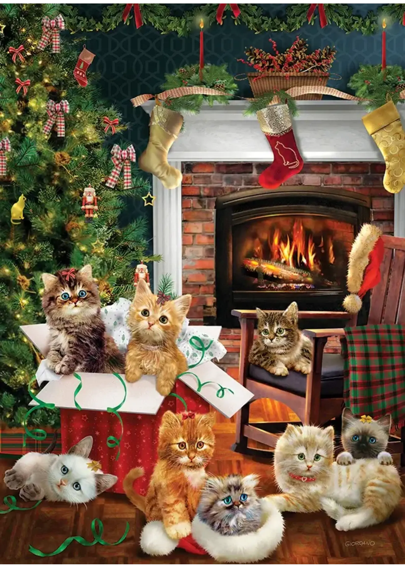 OUT 500 CHRISTMAS KITTENS