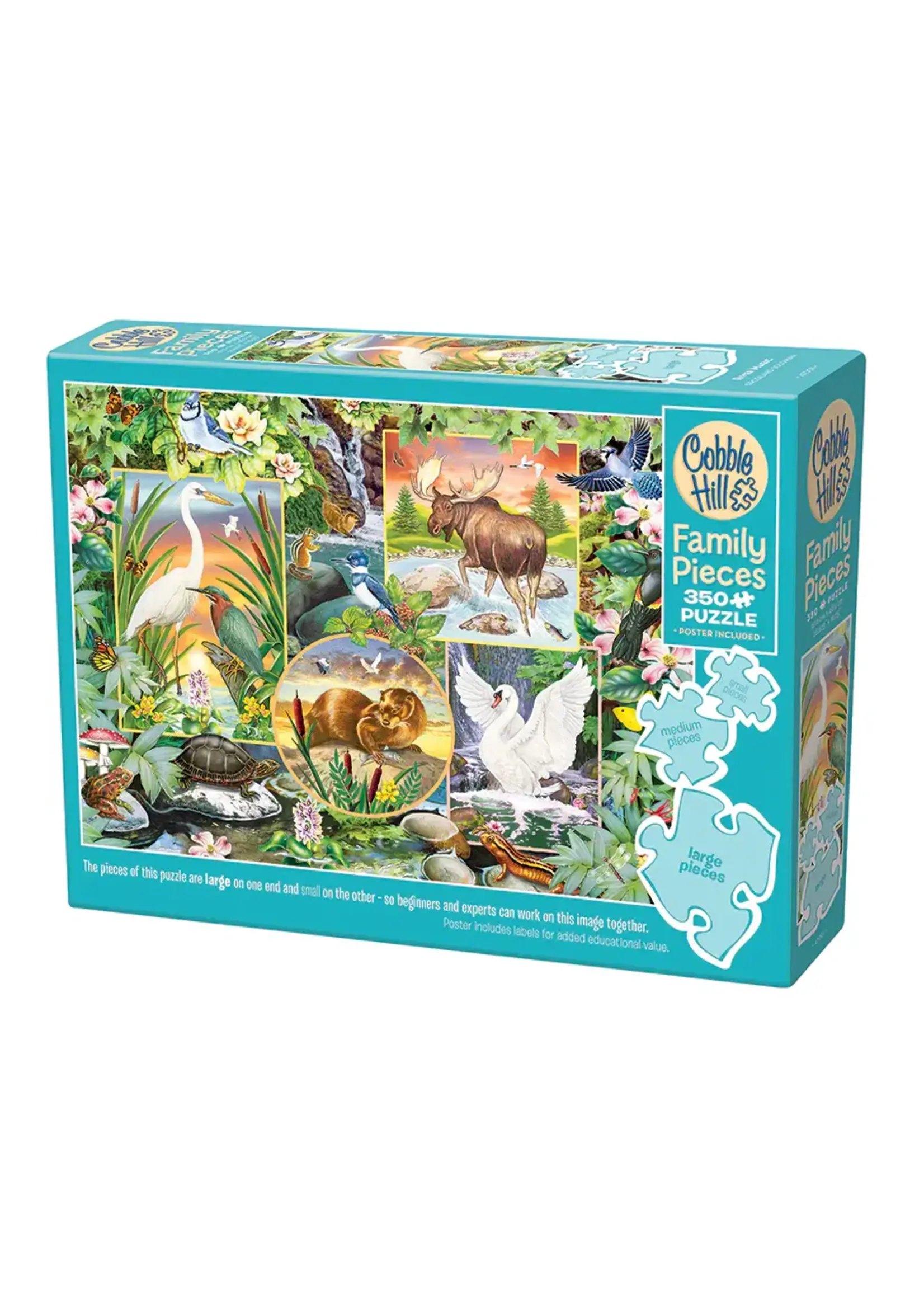 CBL FAMILY  350PC RIVER MAGIC