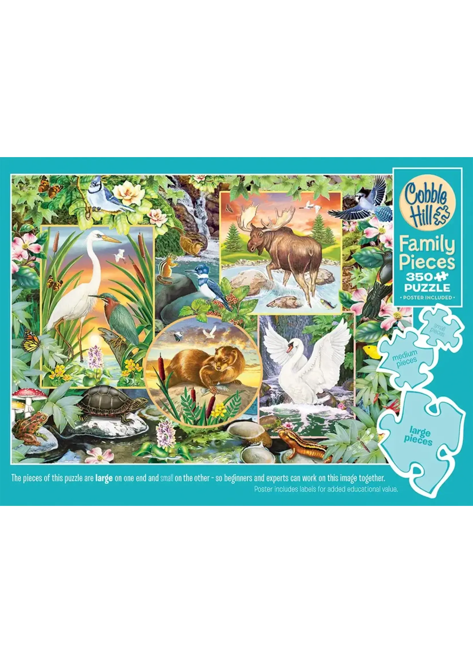 CBL FAMILY  350PC RIVER MAGIC