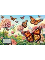 CBL 35PC LIFECYCLE OF A MONARCH