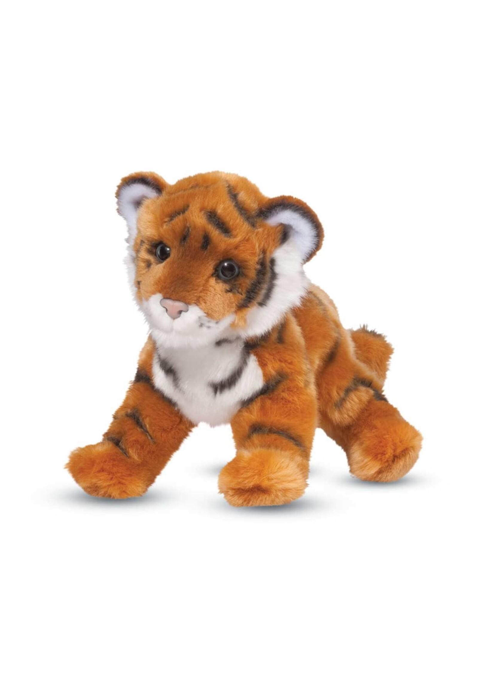 DUG PANCAKE BENGAL TIGER CUB