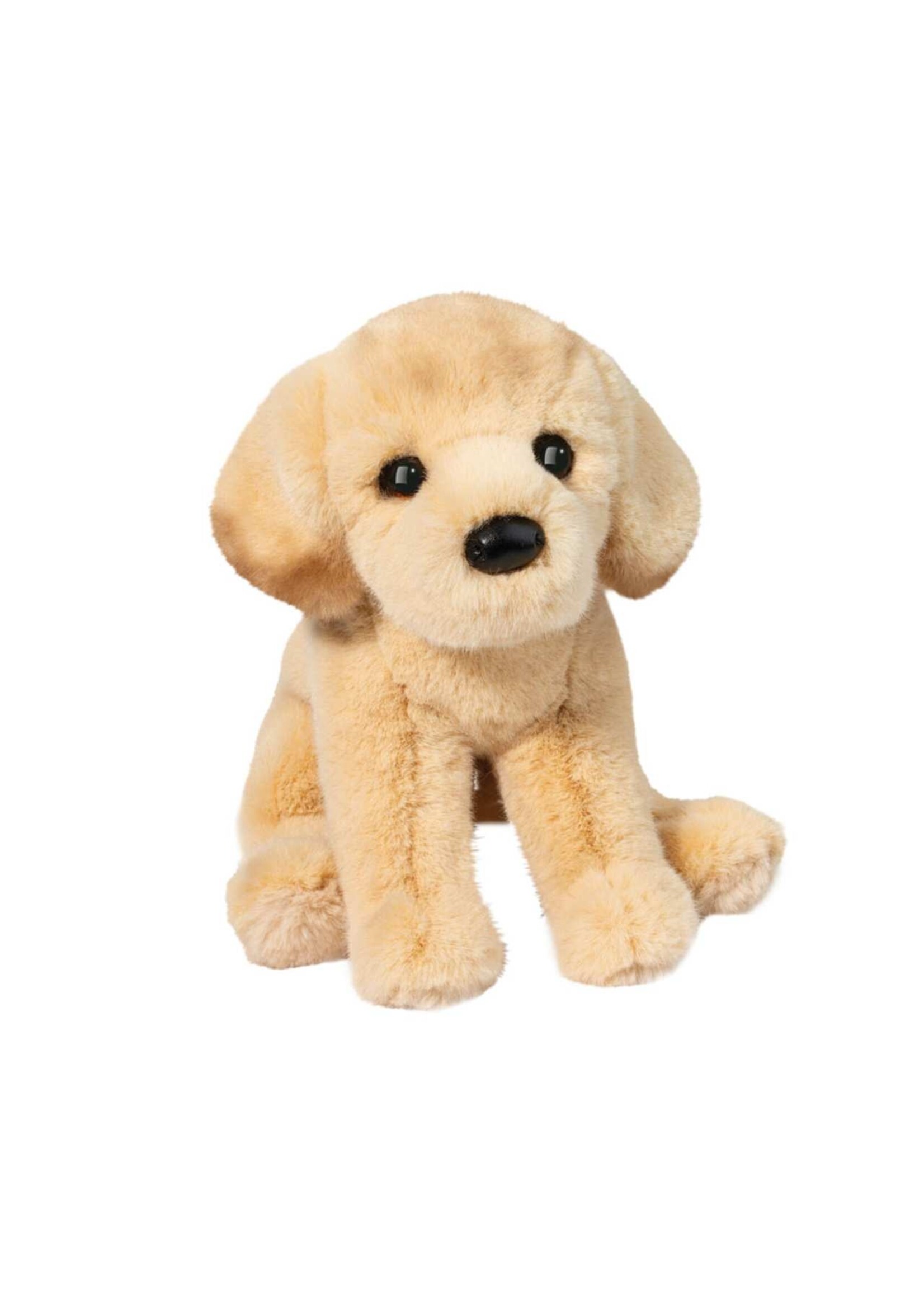 DUG ACE YELLOW LAB
