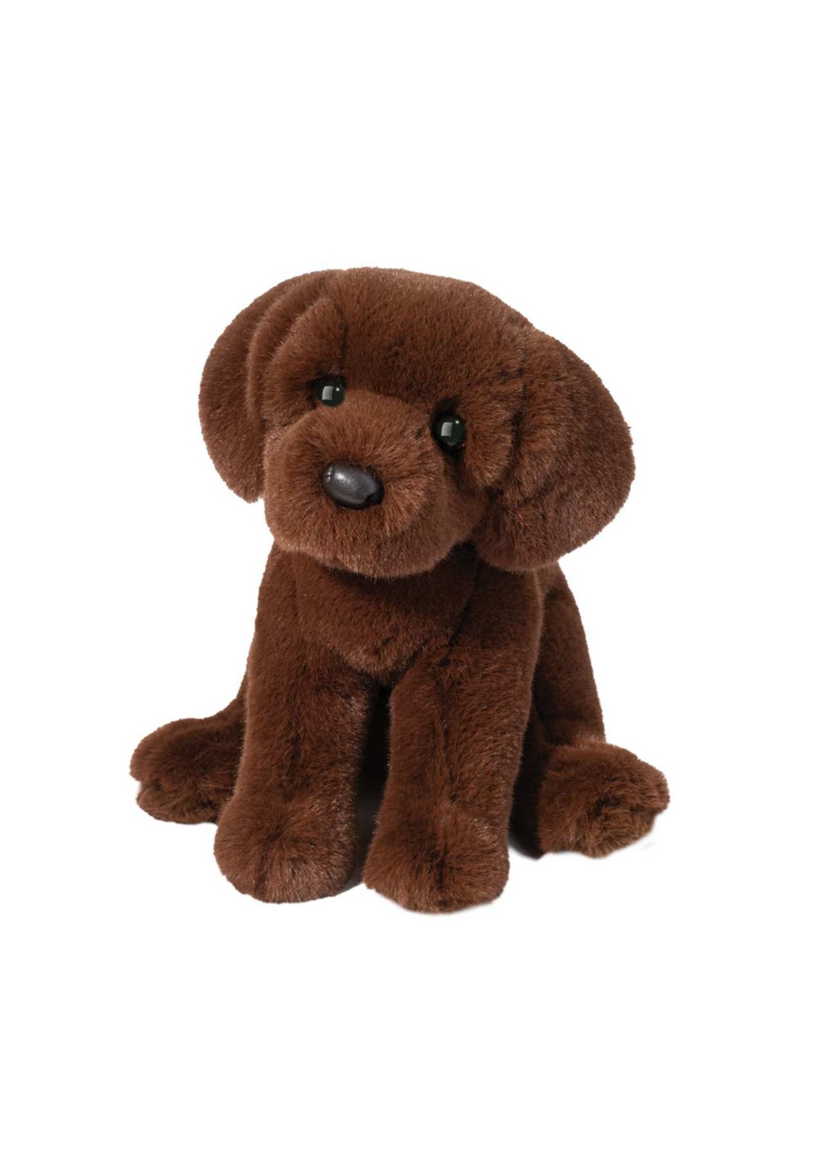 DUG ZOOM CHOCOLATE LAB