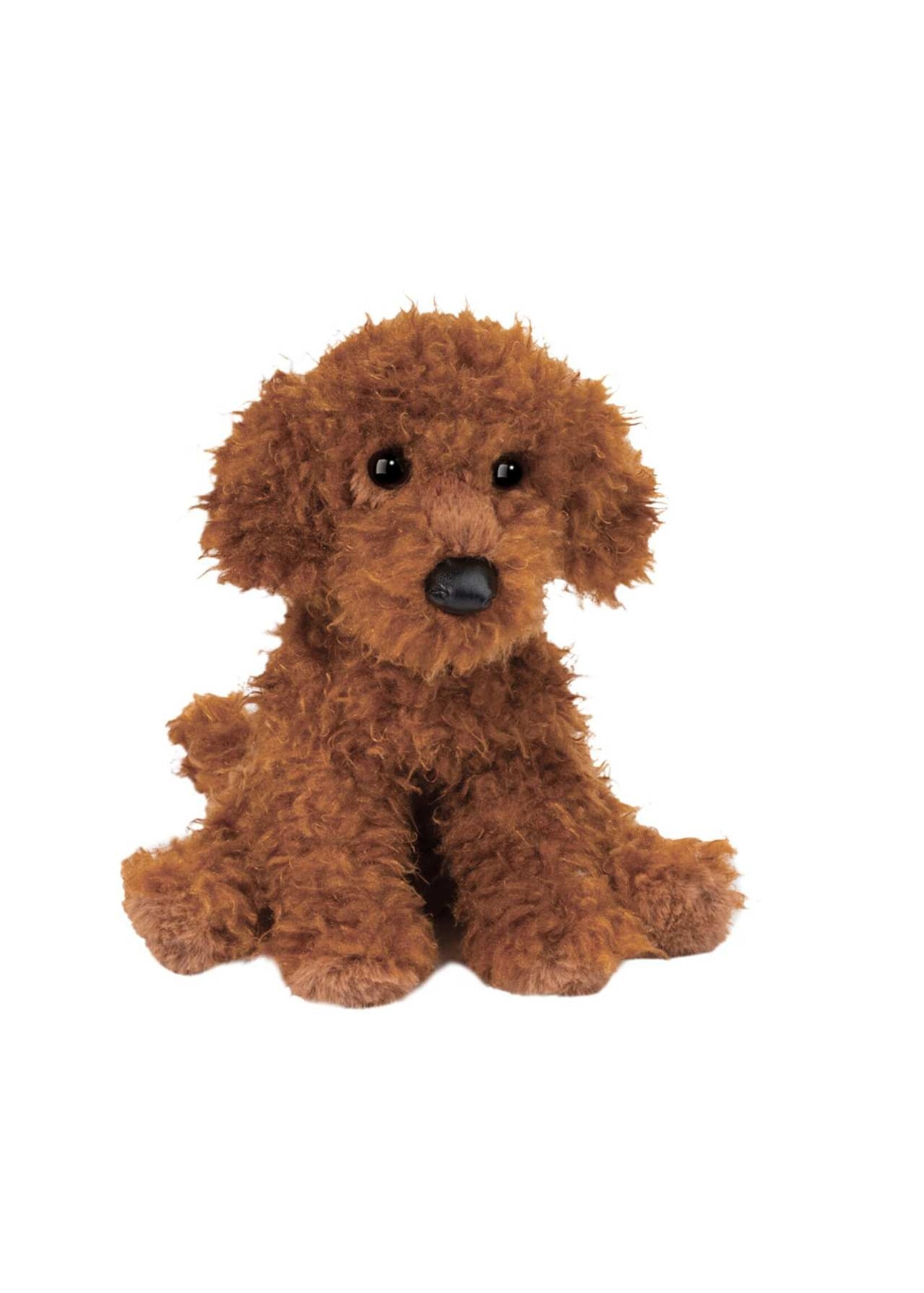 DUG GINGER MINIATURE POODLE