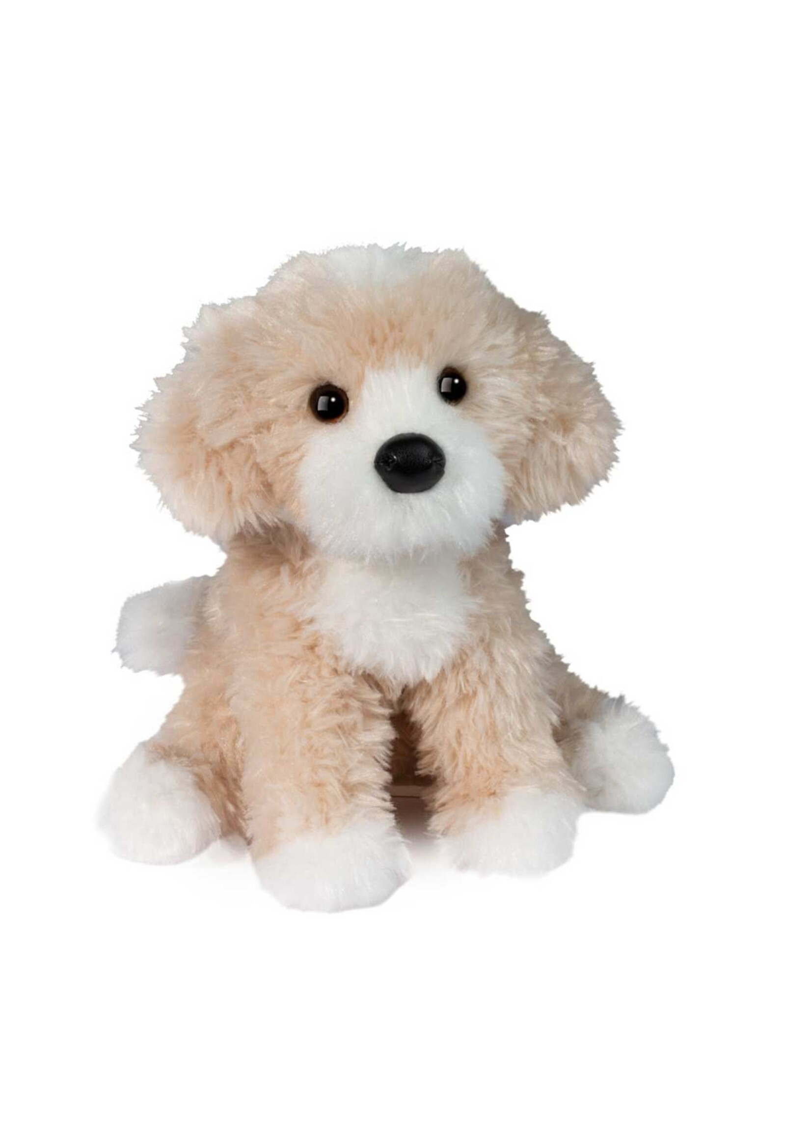 DUG DARCY GOLDENDOODLE