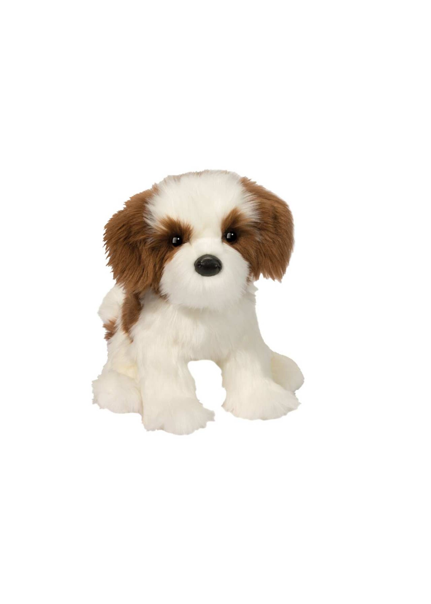 DUG FARREN SHIHTZU