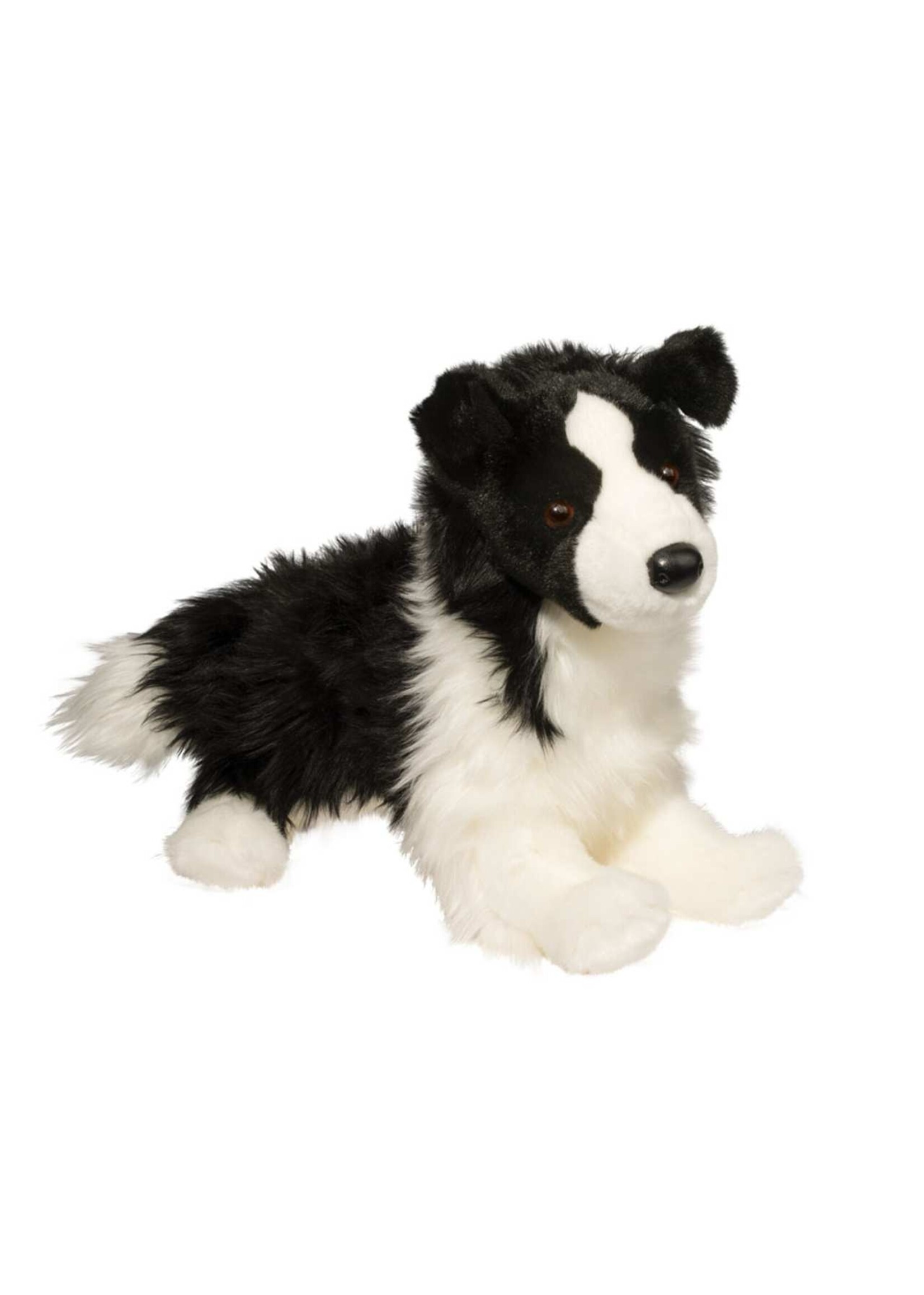 DUG CHASE BORDER COLLIE