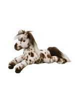 DUG DUKE APPALOOSA HORSE