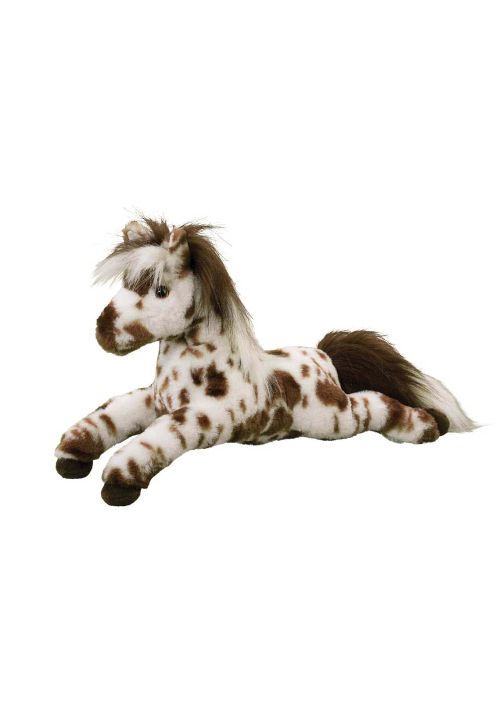 DUG DUKE APPALOOSA HORSE