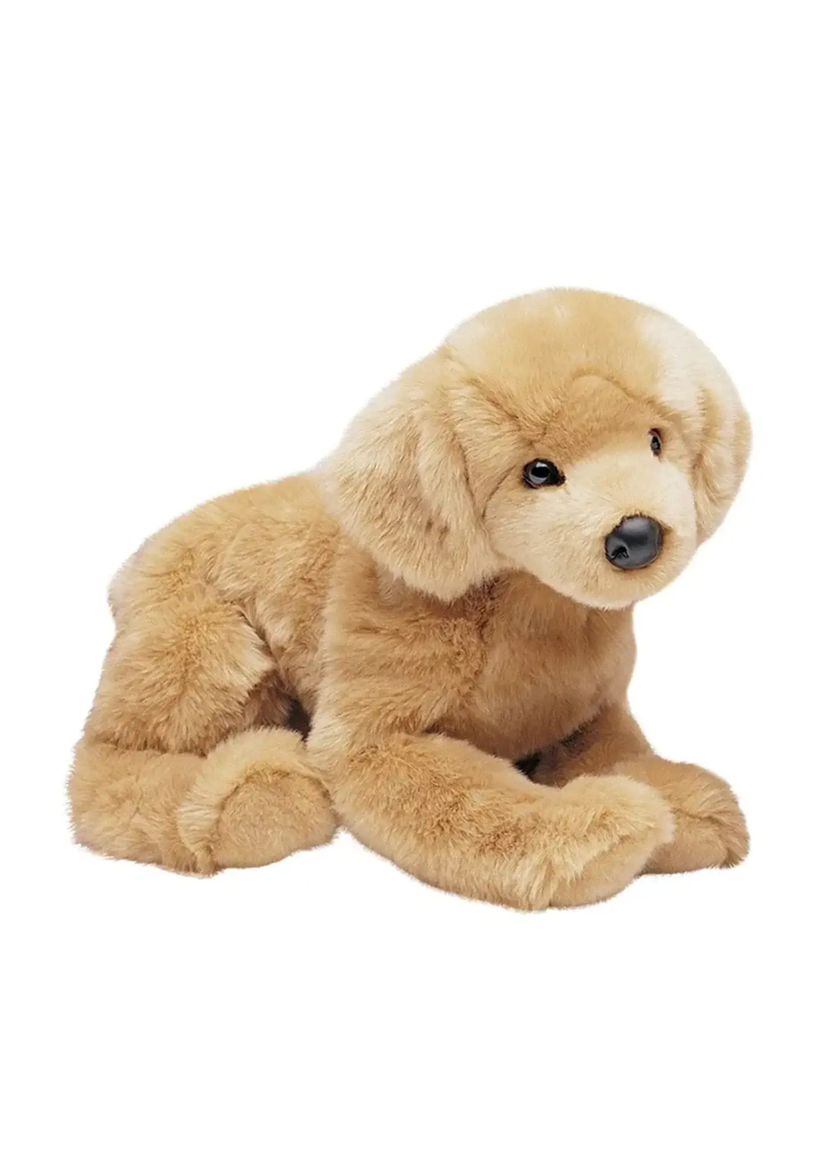 DUG HONEY GOLDEN RETRIEVER