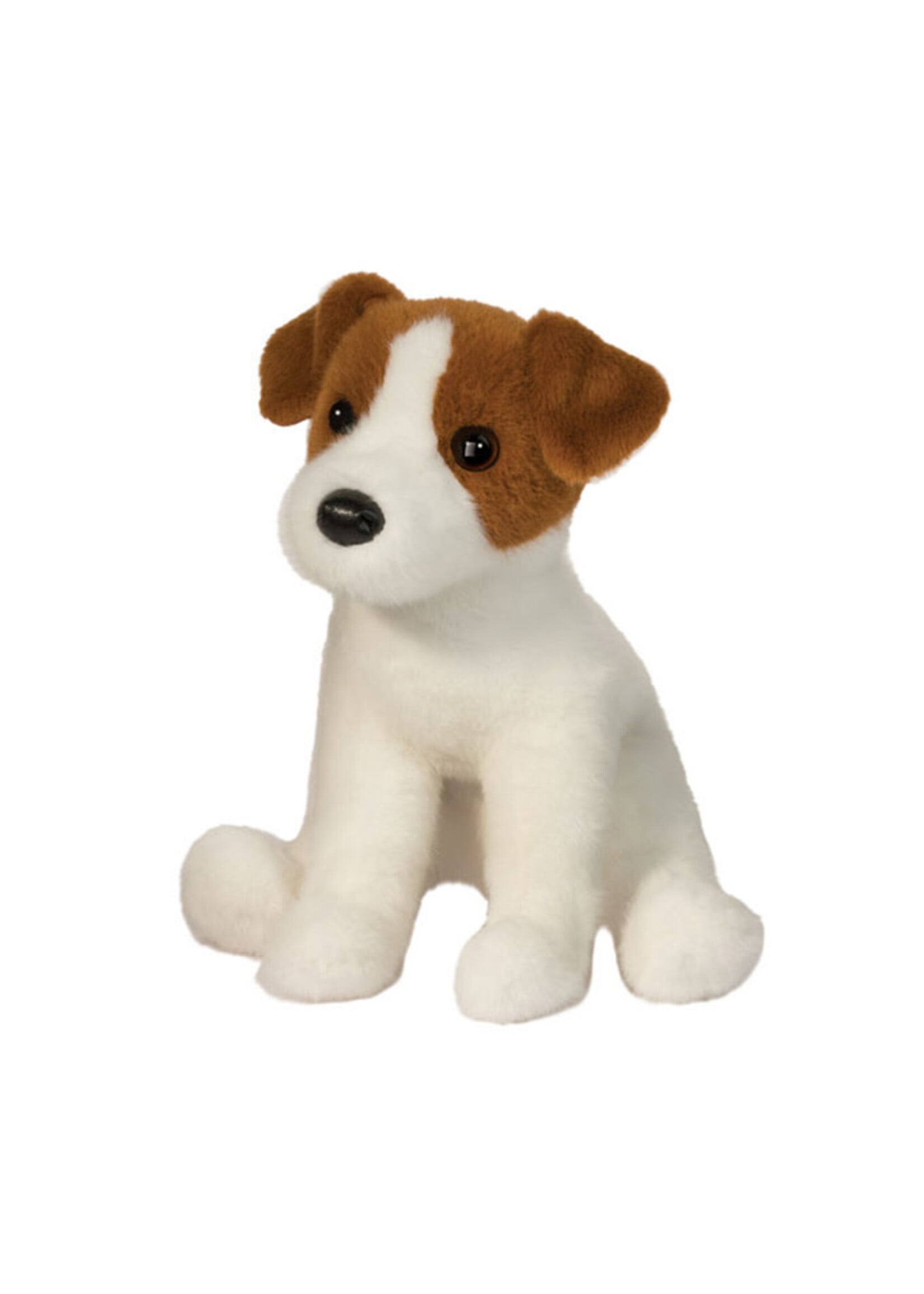 DUG FIONA JACK RUSSELL TERRIER