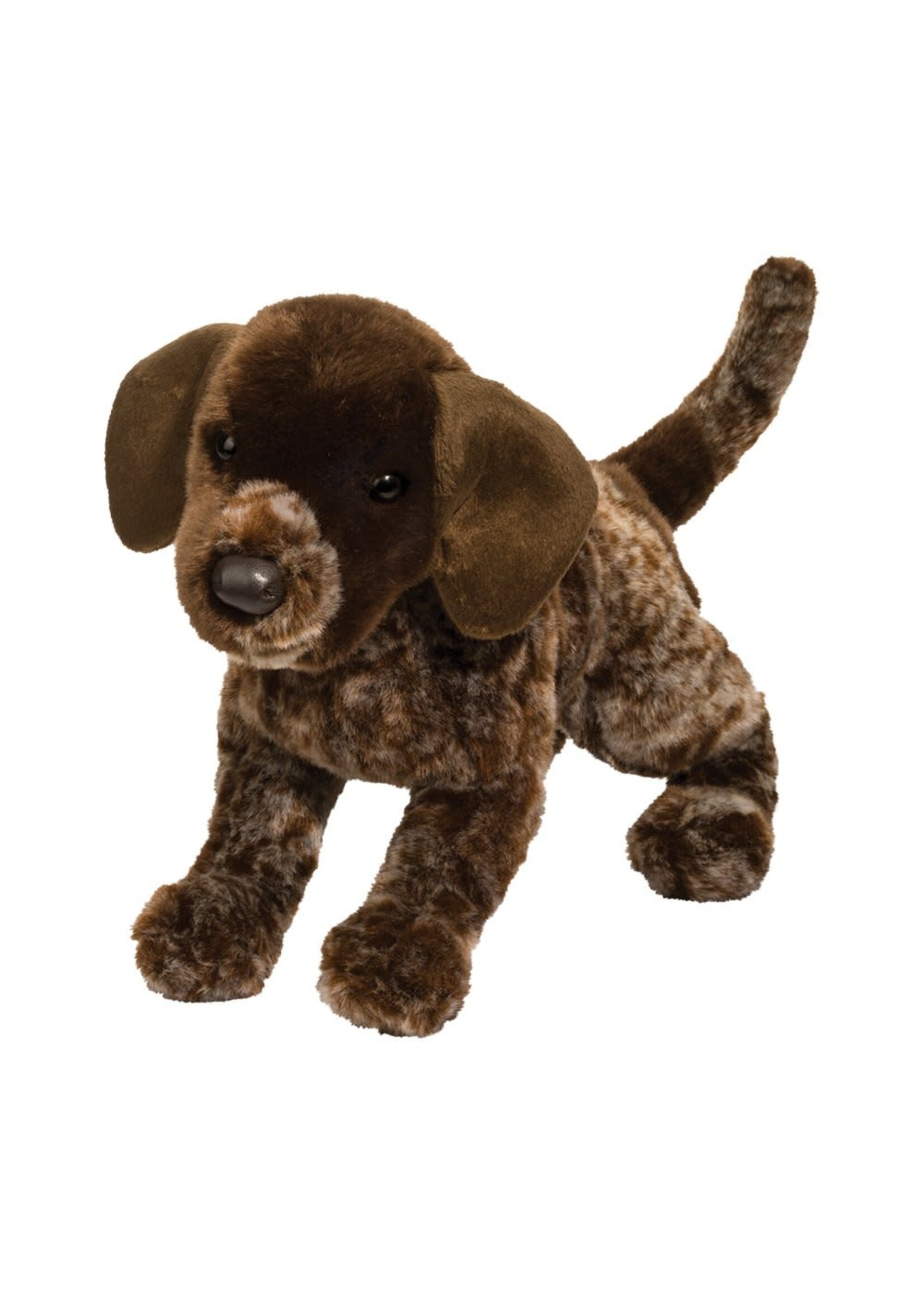 DUG WOLFGANG POINTER
