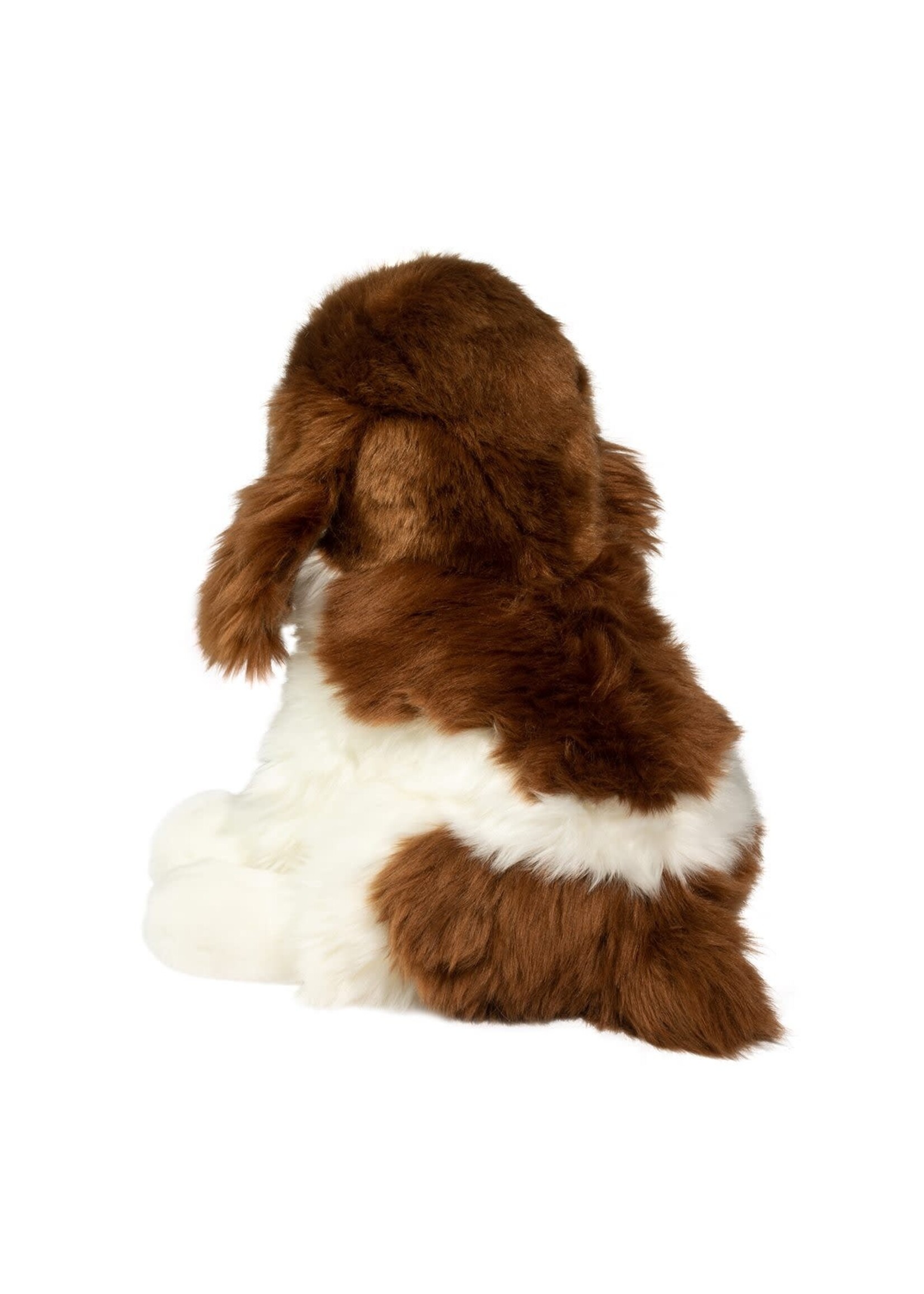 DUG SPRINGER SPANIEL CHIP