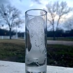 Evergreen Crystal Crystal Boot Shot Glasses