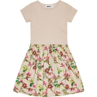 MOLO Molo Cissa Hellebore