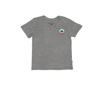 FEATHER 4 ARROW FEATHER 4 ARROW ICON VINTAGE TEE HEATHER GRAY