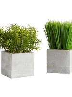 47th & Main Plants in Square Pot - Grass