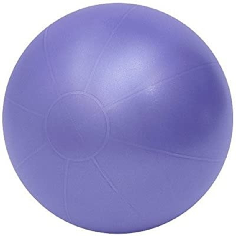 TheraGear PRO ABS Swiss Ball