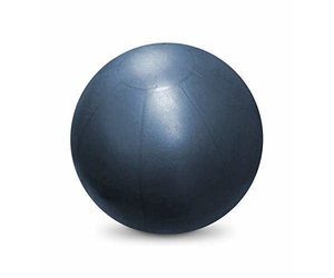 Theragear swiss ball pro sales