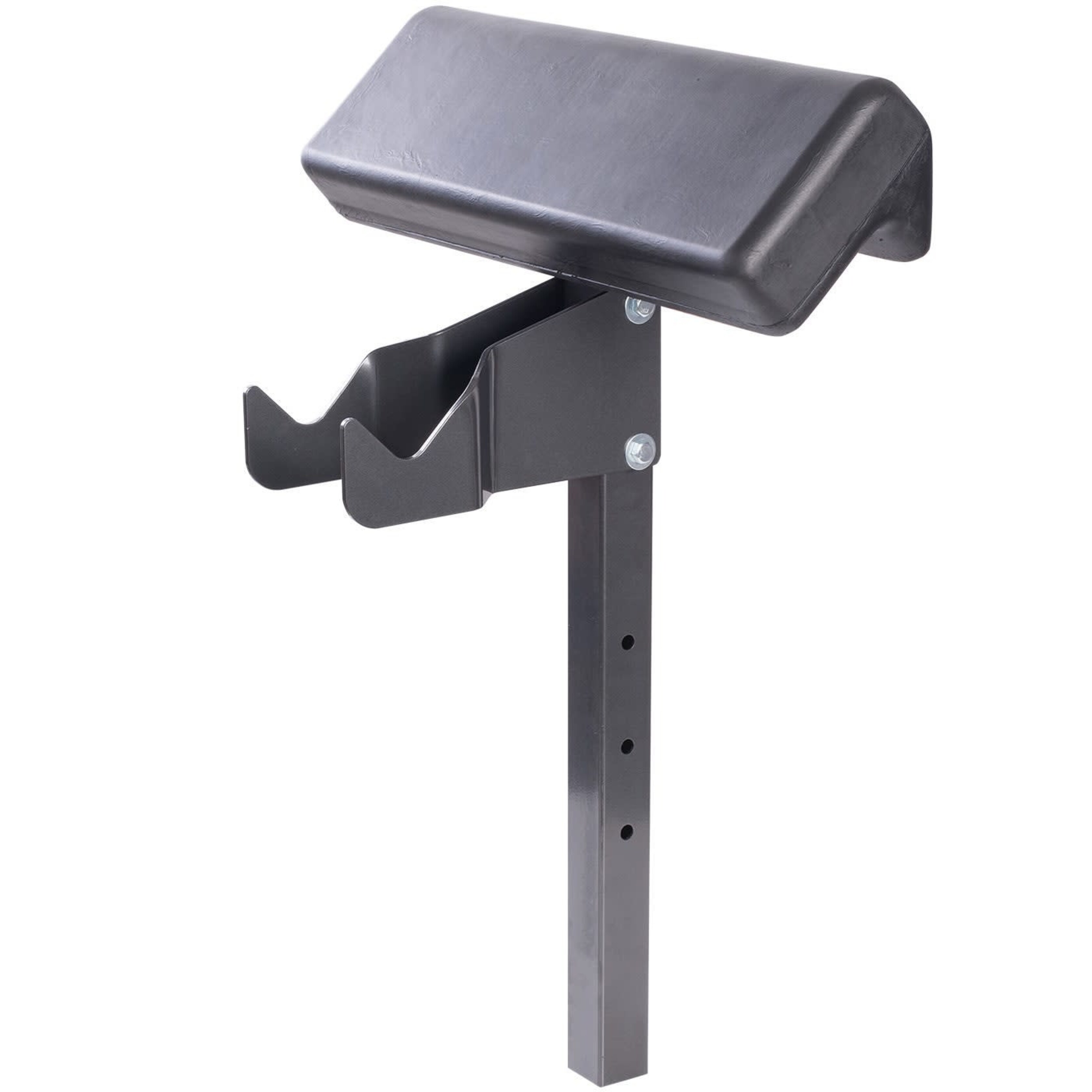 Northern Lights Preacher Curl Attachment Fitworks Moncton