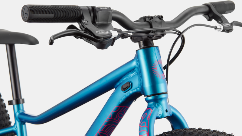 Cannondale Kids Trail Plus 24