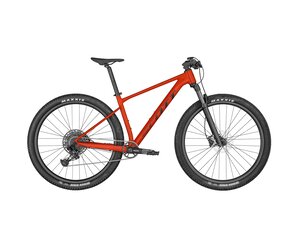 scott-scale-970.jpg