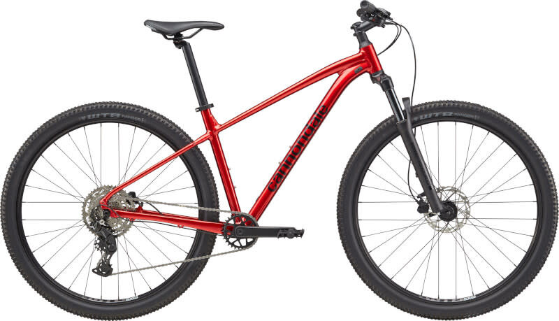 Cannondale Trail 2 - Fitworks Moncton