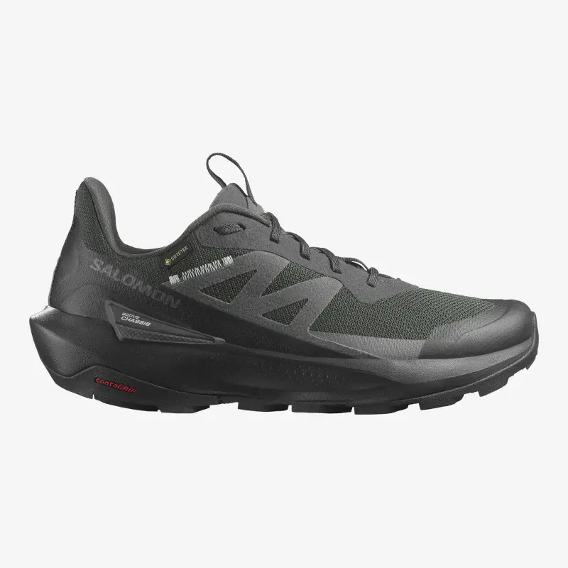 Salomon ELIXIR ACTIV GORE-TEX Men's Hiking Shoes