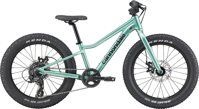Cannondale Kids Trail Plus 20