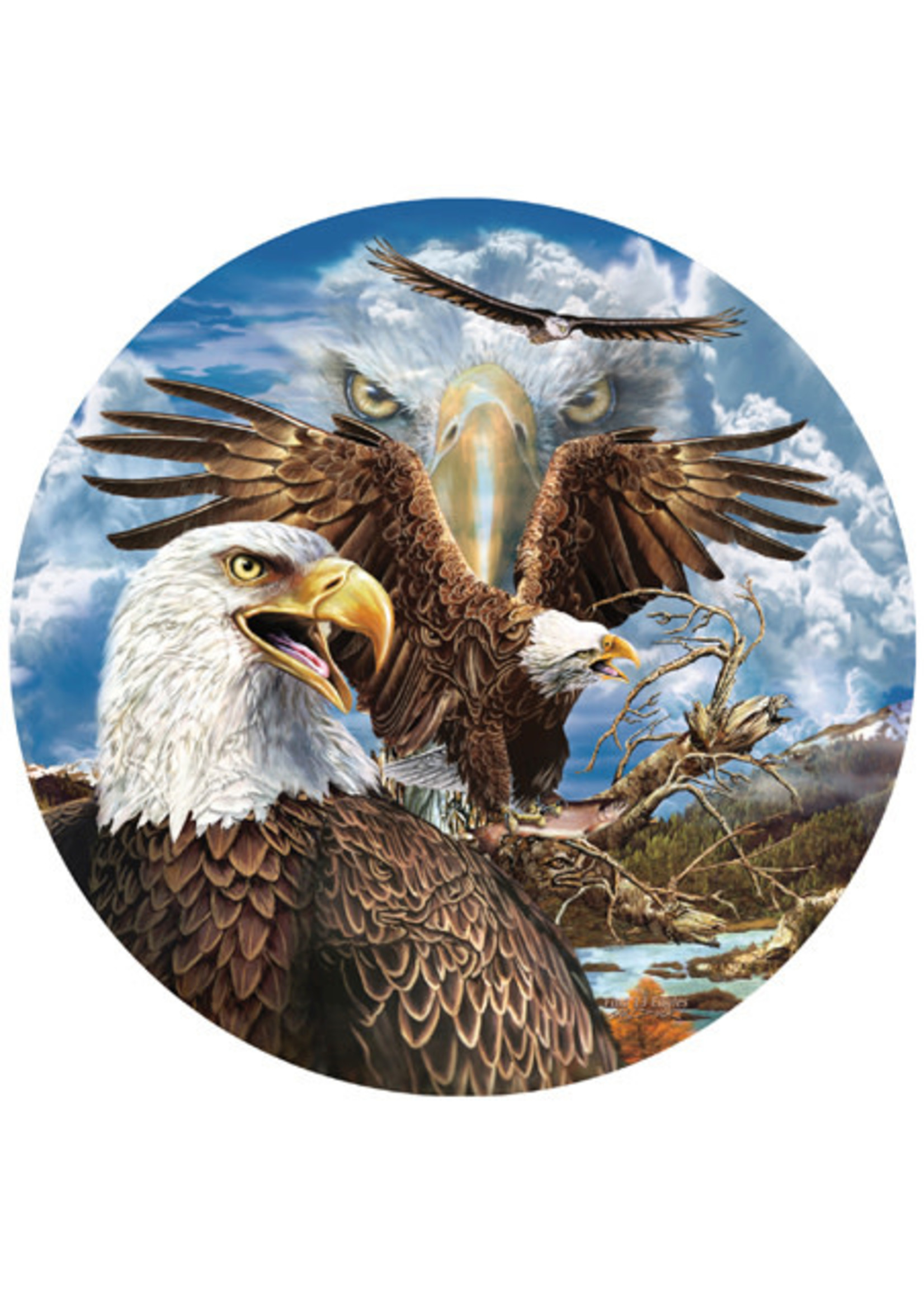 Sunsout 13 Eagles 1000pc Round