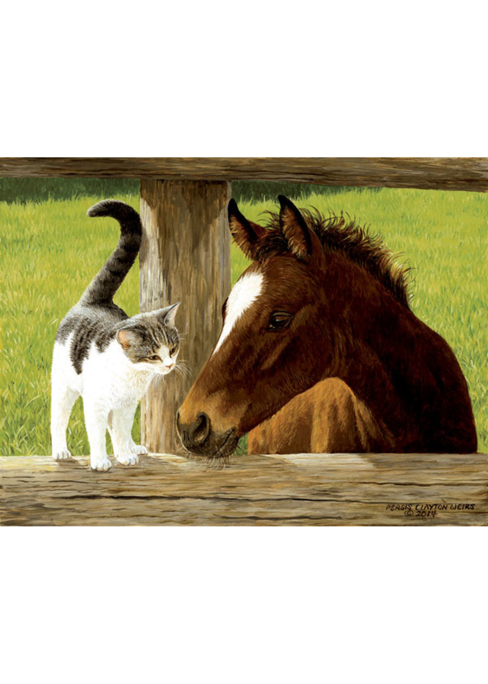 Sunsout A Whiskery Hello Puzzle 500pc