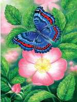 Sunsout Blue Butterfly Puzzle 1000 Pieces