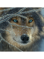 Sunsout Fire Within Ice 500pc