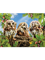 Sunsout Hear No Speak No See No Puzzle 300 Large Pieces