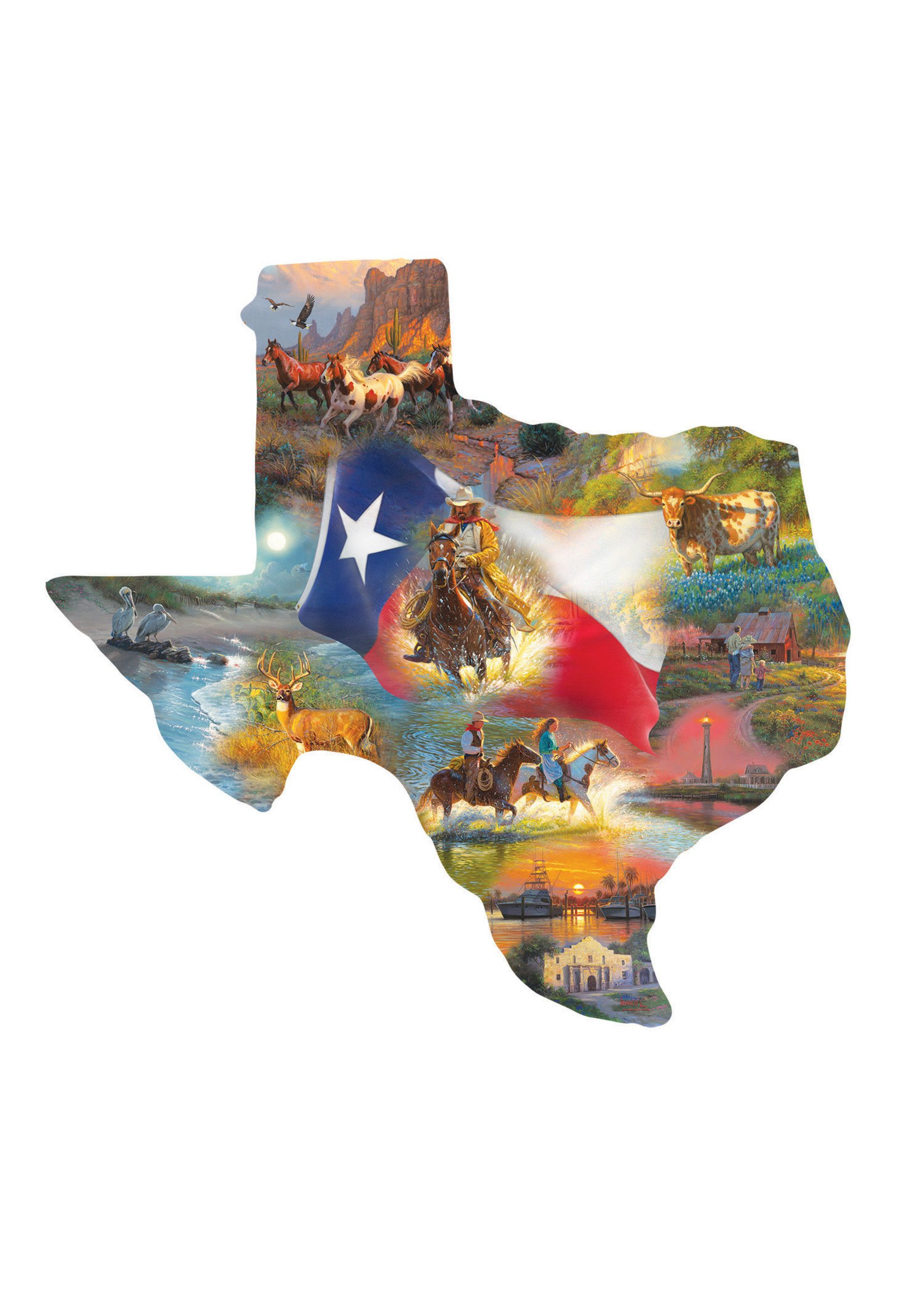 Sunsout Images of Texas Special Shaped Puzzle 1000 Pieces