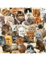 Sunsout Kittens for the Taking Puzzle 500 Pieces