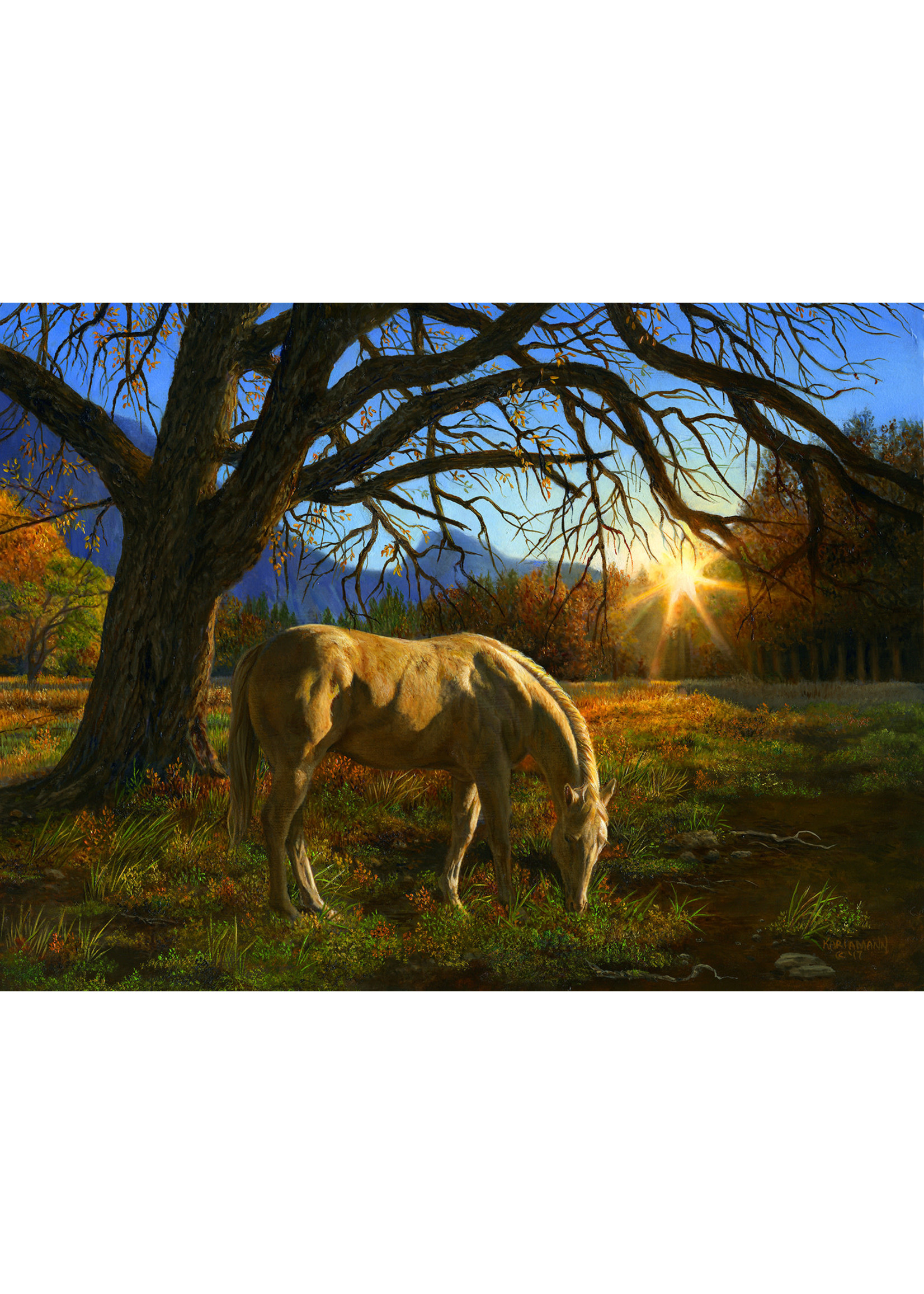 Sunsout Pastoral Sunset Puzzle 1000 Pieces