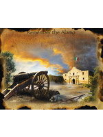Sunsout Remember the Alamo Puzzle 1000+ Large Pieces