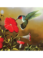 Sunsout Ruby Throat 500pc