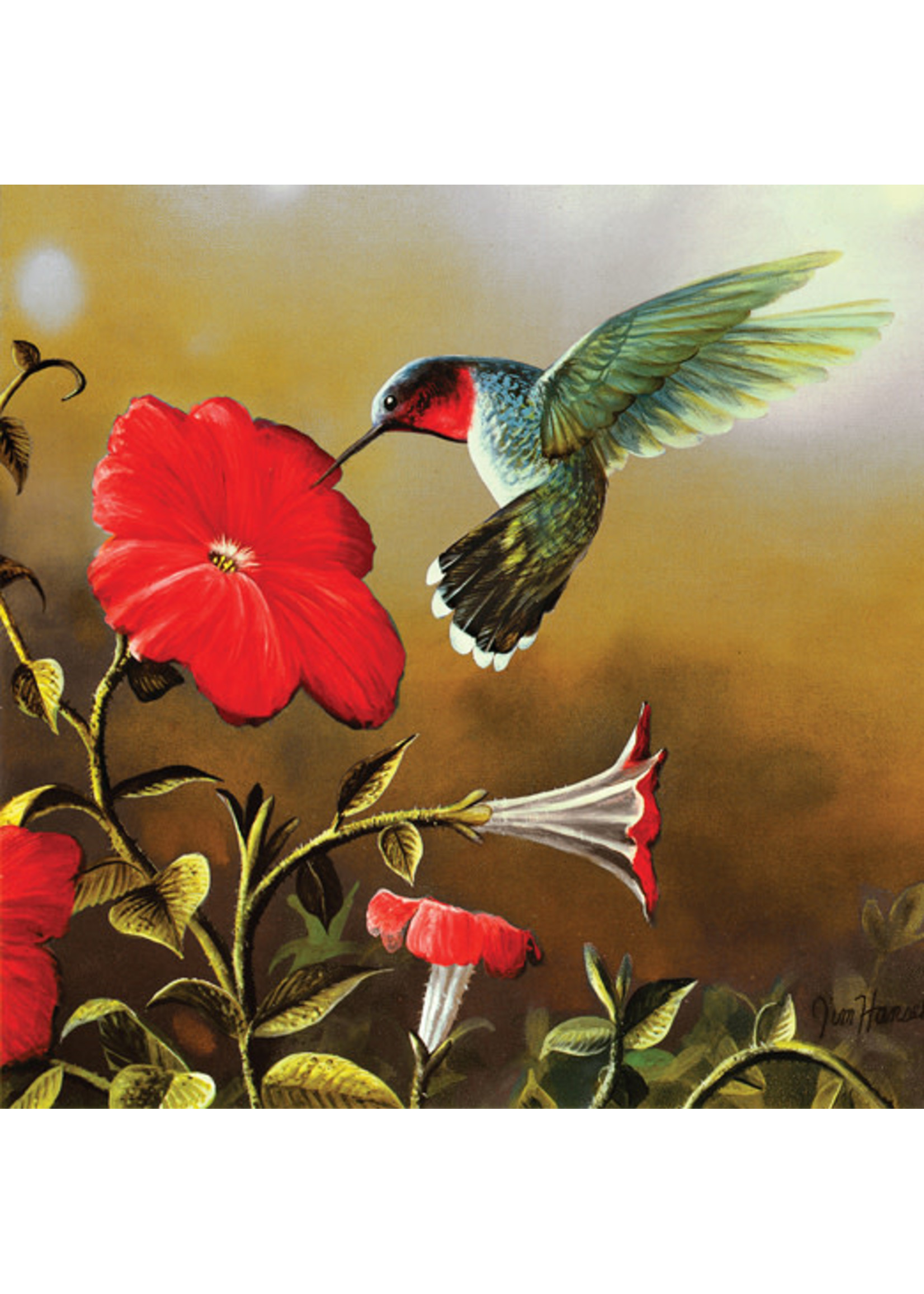 Sunsout Ruby Throat 500pc