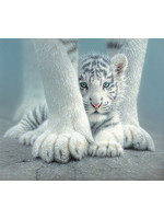 Sunsout Sheltered 550pc